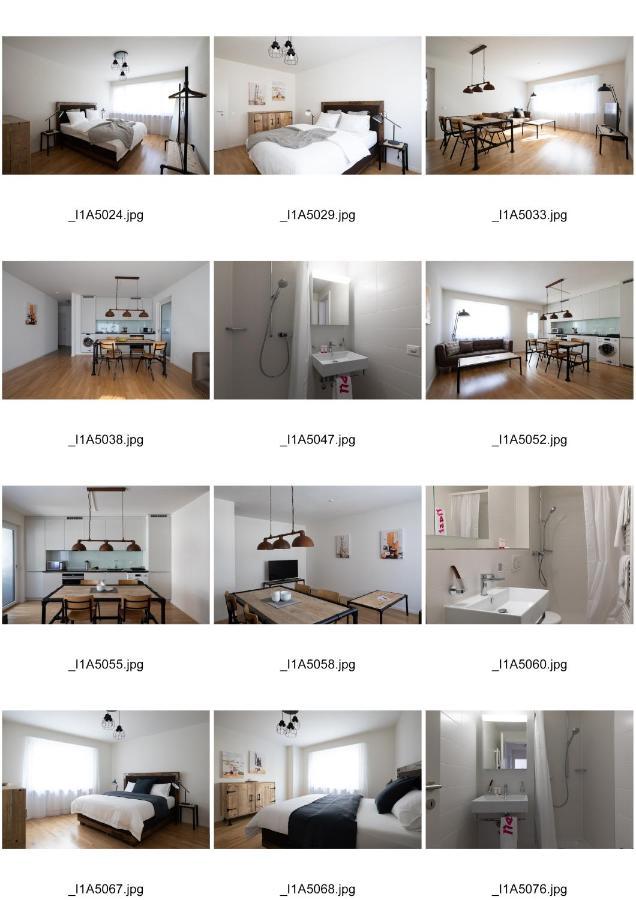 バーゼルNest - Riehenring 147アパートメント エクステリア 写真